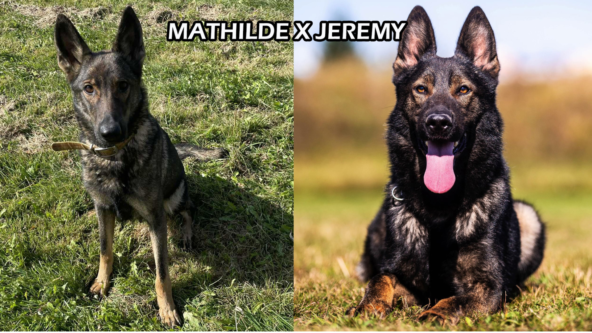 mathilde-jeremy-1.png