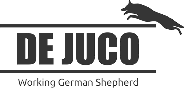 Dejuco est un élevage professionnel de Bergers Allemands lignée 100%. Nos chiens proviennent des meilleures lignées de la République Tchèque et de l’Allemagne.