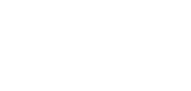  Dejuco is a professional breeding of German Shepherds 100% line. Our dogs come from the best lines of the Czech Republic and Germany.